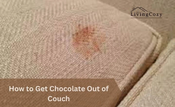 How to Get Chocolate Out of Couch