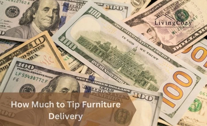 How Much to Tip Furniture Delivery