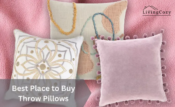 Best Place to Buy Throw Pillows