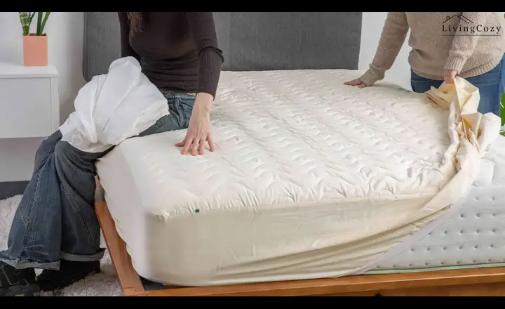 What is a mattress protector
