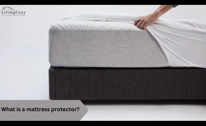 What is a mattress protector