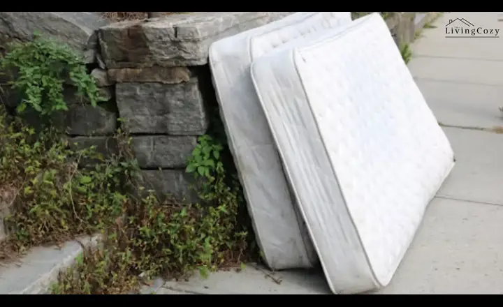 How to dispose of a mattress
