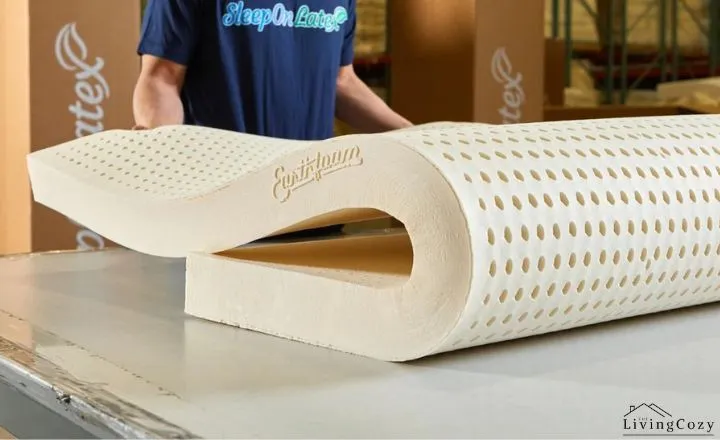 What is Talalay Latex