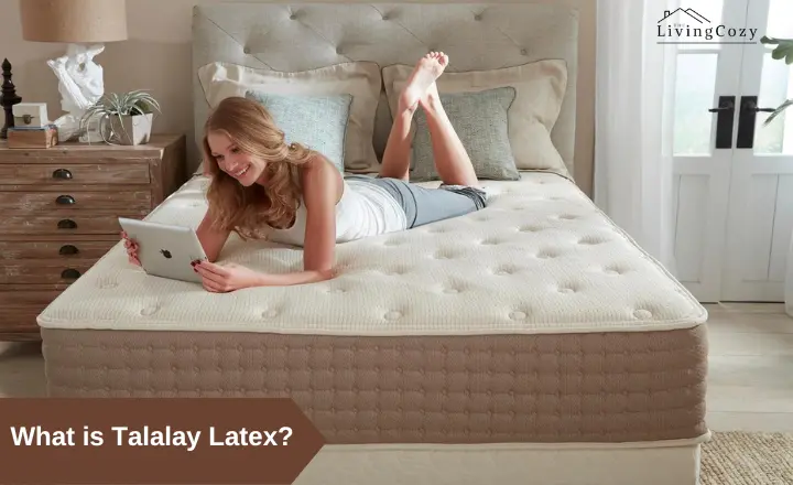 What is Talalay Latex